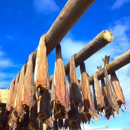 Atlantic View Lofoten * Bostad