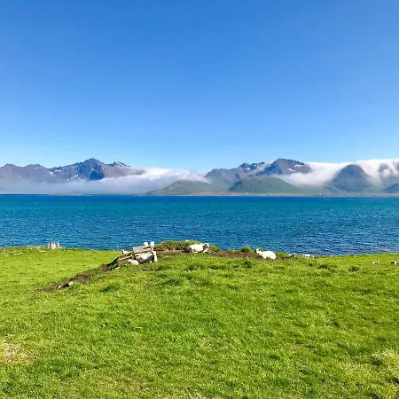 Atlantic View Lofoten بيت للعطل Bostad